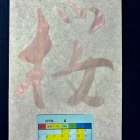 4月　お稽古カレンダー